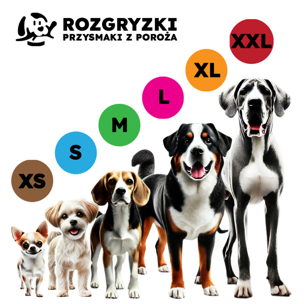 GRYZAK NATURALNY DLA PSA poroże daniela XS easy - okrągłe