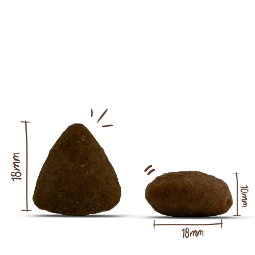 Bosch Menue Adult z łososiem z morza północnego 1 kg karma dla psa bez zbóż