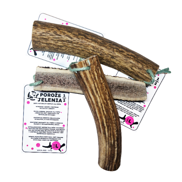 GRYZAK NATURALNY poroże jelenia dla psa L SOFT połówka16-20cm