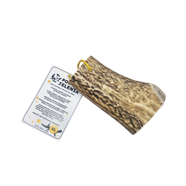 GRYZAK NATURALNY poroże jelenia dla psa XL HARD 13-23 cm