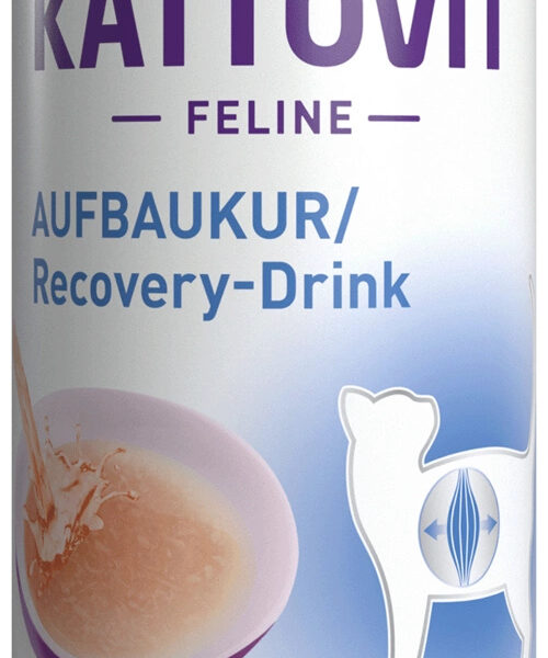KATTOVIT DRINK RECOVERY 135ML