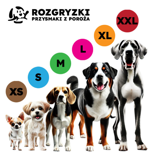 GRYZAK NATURALNY DLA PSA poroże daniela XL easy - okrągłe