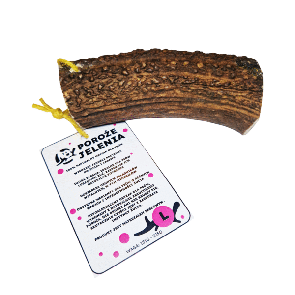 GRYZAK NATURALNY poroże jelenia dla psa L HARD 13-19 cm