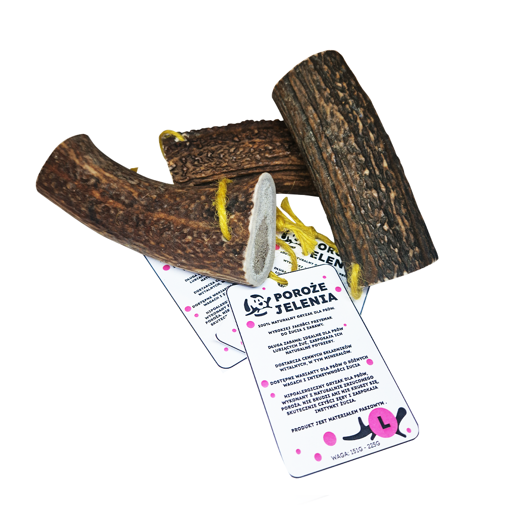 GRYZAK NATURALNY poroże jelenia dla psa L HARD 13-19 cm