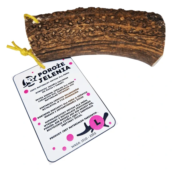 GRYZAK NATURALNY poroże jelenia dla psa L HARD 13-19 cm – zbliżenie produktu GRYZAK NATURALNY poroże jelenia dla psa L HARD 13-19 cm – zbliżenie na białym tle