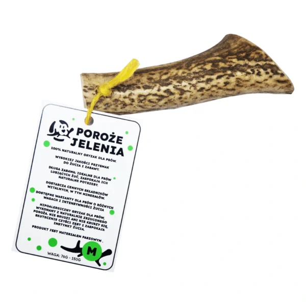 GRYZAK NATURALNY poroże jelenia dla psa M HARD 12-16 cm – zbliżenie produktu GRYZAK NATURALNY poroże jelenia dla psa M HARD 12-16 cm – zbliżenie na białym tle